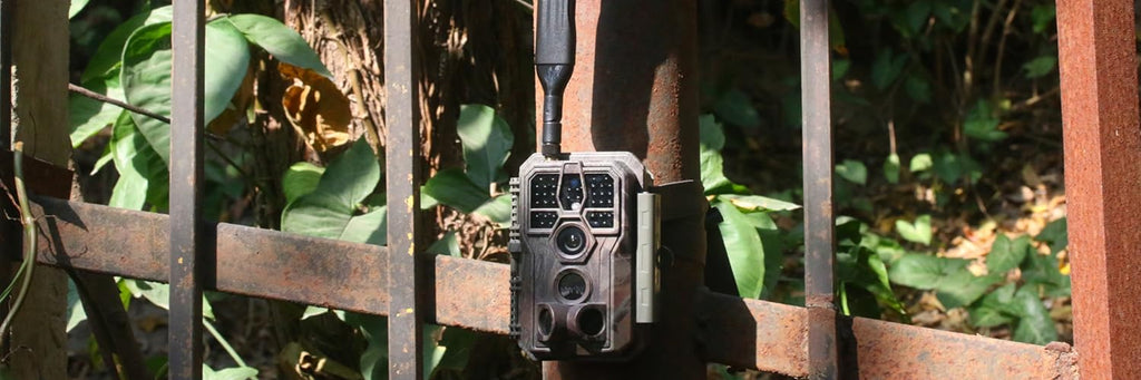 È possibile associare più fototrappola a una sola scheda SIM?