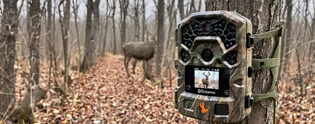 Per utilizzare una fototrappola è assolutamente necessario avere Internet?