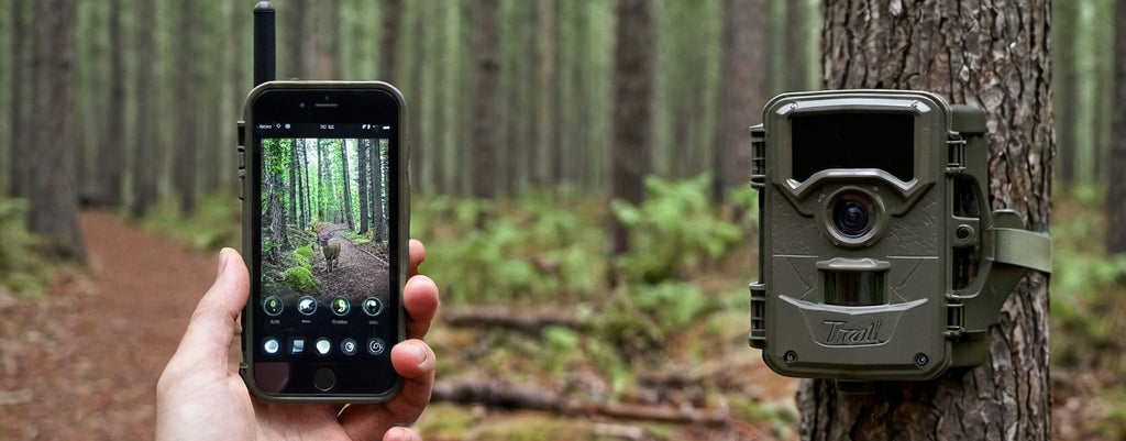 Qual è la migliore fototrappola 4G ?