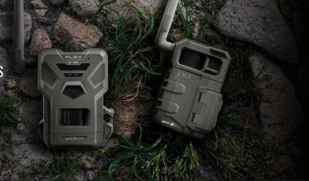 Come funziona una fototrappola con 4G collegata al cellulare ?