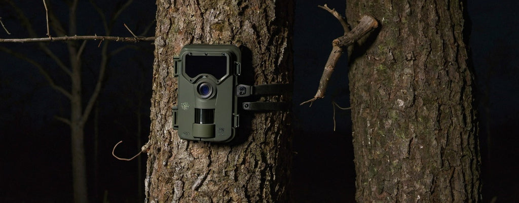 A quale distanza scatta le foto la fototrappola?