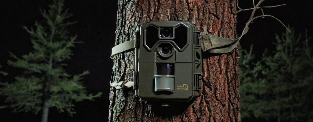 Come funziona una fototrappola notturna?