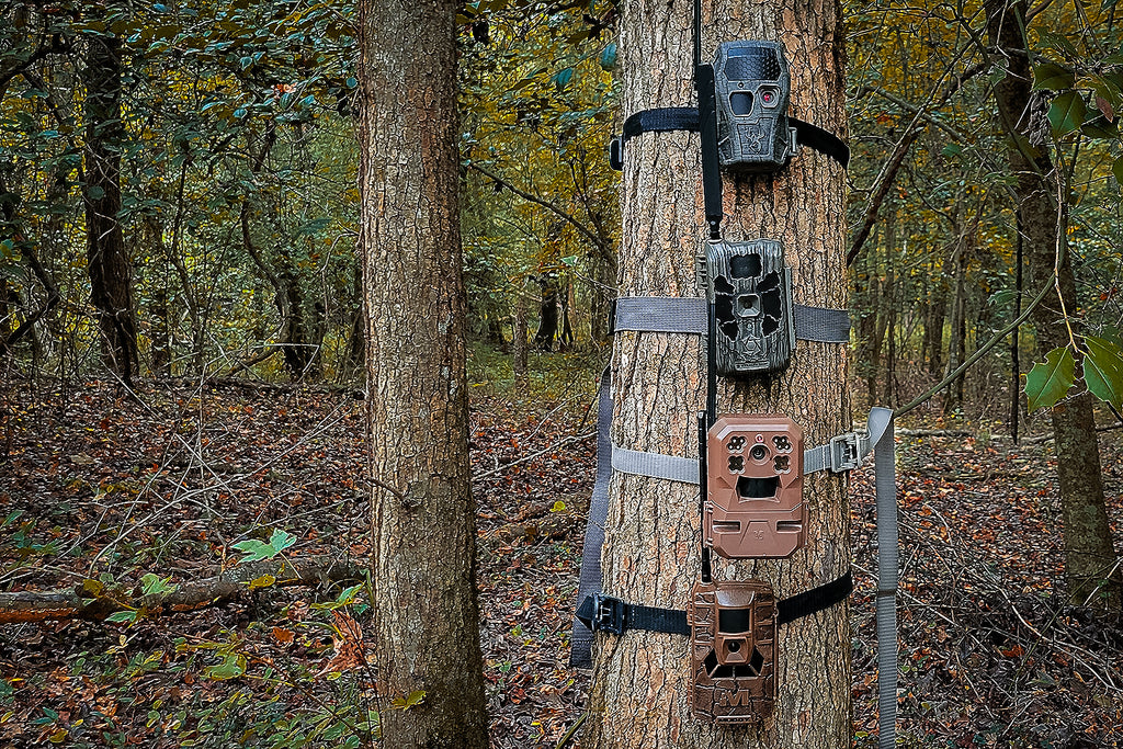 Come funziona una fototrappola senza WiFi?