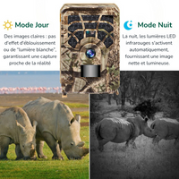 Fototrappole professionali​