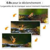 Fototrappole professionali​