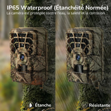 Fototrappole professionali​