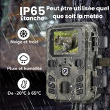 Fototrappola Mini​ WiFi