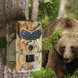 Telecamera Fototrappola Animali