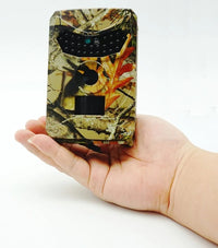 Telecamera Fototrappola Animali