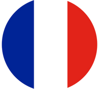france icon